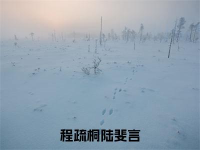程疏桐陆斐言小说（程疏桐陆斐言）全文免费阅读无弹窗大结局-程疏桐陆斐言最新热点小说