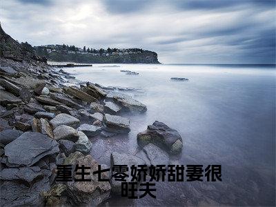 小说《重生七零娇娇甜妻很旺夫》全文免费阅读无弹窗-陆珍珍小说全文在线赏析_笔趣阁