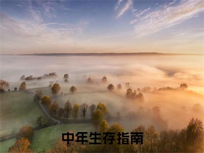 小说中年生存指南全文免费阅读无弹窗大结局_（蔚映敏高美惠）全文在线阅读