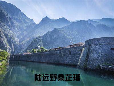 陆远野桑芷瑾（桑芷瑾陆远野小说）全文免费阅读无弹窗大结局_（桑芷瑾陆远野小说）陆远野桑芷瑾最新章节列表