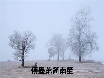 简南笙傅墨萧全文免费（傅墨萧简南笙）全文免费阅读无弹窗大结局_（傅墨萧简南笙全文免费简南笙傅墨萧）