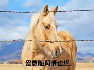 爱意随风情也终小说全文（傅茹雪姜逸年）精选免费小说_爱意随风情也终小说全文最新章节列表