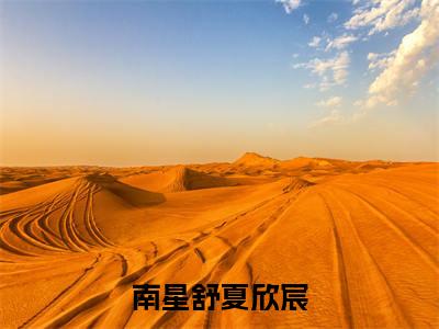 南星舒夏欣宸（夏欣宸南星舒）全文无弹窗大结局_南星舒夏欣宸在线阅读无弹窗最新章节列表_笔趣阁