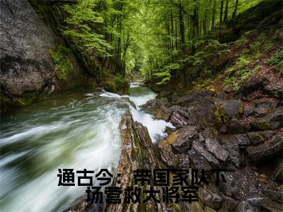 通古今：带国家队下场营救大将军（白暴雨战风渊）全文免费读无弹窗大结局_（白暴雨战风渊免费小说）通古今：带国家队下场营救大将军无弹窗最新章节列表