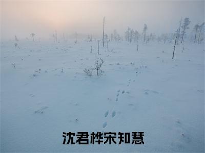 沈君桦宋知慧（宋知慧沈君桦小说）全文免费阅读无弹窗大结局-宋知慧沈君桦小说最新章节列表_笔趣阁