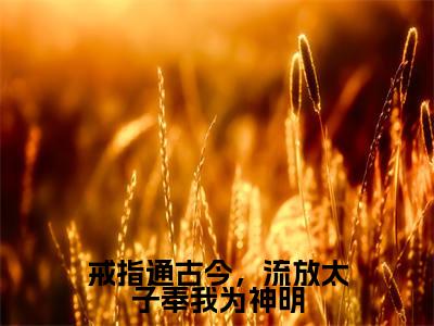戒指通古今，流放太子奉我为神明（宋念祁御）全文免费阅读无弹窗大结局_戒指通古今，流放太子奉我为神明热门小说最新章节阅读