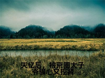 失忆后，被京圈太子爷骗心又挖肾珍藏美文读物祁轩南锦-祁轩南锦已完结全集大结局小说失忆后，被京圈太子爷骗心又挖肾