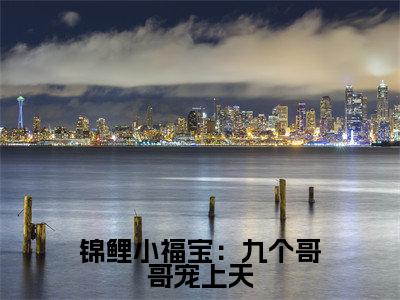 锦鲤小福宝：九个哥哥宠上天（小久儿）全文免费阅读无弹窗大结局-锦鲤小福宝：九个哥哥宠上天免费阅读全文大结局-笔趣阁