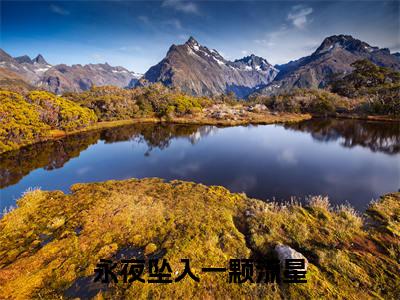 永夜坠入一颗流星（沈砺生梁悠）最火小说全文-（沈砺生梁悠）永夜坠入一颗流星小说完整版免费阅读