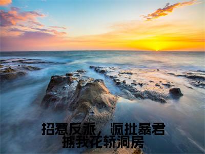 招惹反派，疯批暴君掳我花轿洞房（姬慎林立夏）全文免费阅读无弹窗大结局_（姬慎林立夏免费阅读全文大结局）最新章节列表