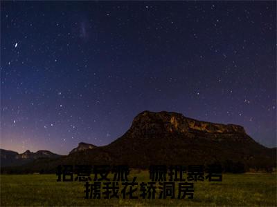 招惹反派，疯批暴君掳我花轿洞房小说好看吗-招惹反派，疯批暴君掳我花轿洞房姬慎林立夏热门小说大结局阅读