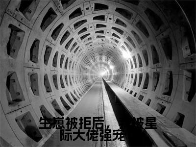 生崽被拒后，我被星际大佬强宠了全文免费阅读无弹窗，陆之恒林简意小说最新章节列表无删减_笔趣阁