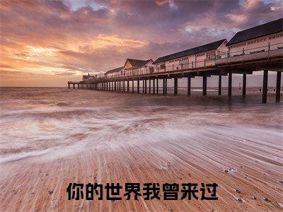 你的世界我曾来过（凌衍舒晴）小说全文免费阅读-你的世界我曾来过（凌衍舒晴）免费在线阅读完整版