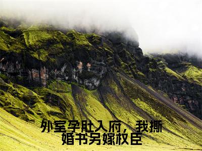 外室孕肚入府，我撕婚书另嫁权臣全文免费阅读无弹窗大结局_（陆淮鹤苏荷完结）外室孕肚入府，我撕婚书另嫁权臣小说最新章节列表