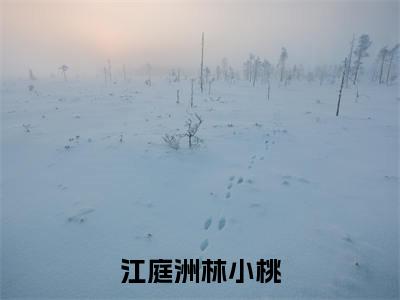 江庭洲林小桃（江庭洲林小桃）全文免费阅读无弹窗大结局_（江庭洲林小桃）江庭洲林小桃章节列表