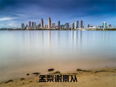 孟梨谢景从小说最新试读_孟梨谢景从是（孟梨谢景从全文完整版免费阅读）_笔趣阁