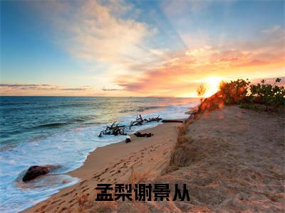 孟梨谢景从（孟梨谢景从）全文免费阅读无弹窗大结局_孟梨谢景从全文阅读_笔趣阁（孟梨谢景从）