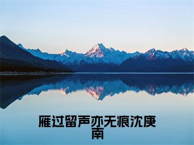 雁过留声亦无痕沈庚南全文免费阅读无弹窗大结局_（时雁沈庚南）雁过留声亦无痕沈庚南在线阅读无弹窗