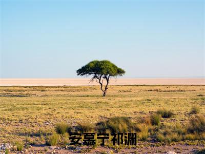 安慕宁祁渊（祁渊安慕宁）免费阅读最新章节无弹窗祁渊安慕宁完整版小说在线阅读