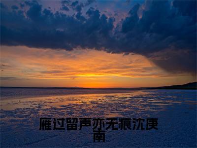 雁过留声亦无痕沈庚南（时雁沈庚南）精彩小说-小说时雁沈庚南全文无删减版免费阅读