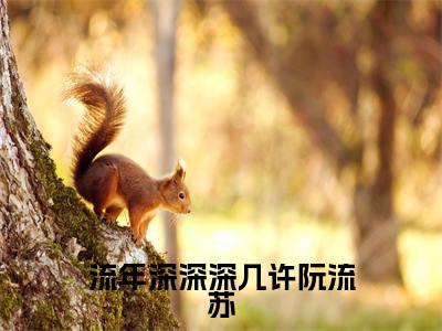 流年深深深几许阮流苏全文免费阅读_（周容川阮流苏免费阅读无弹窗）流年深深深几许阮流苏最新章节列表笔趣阁