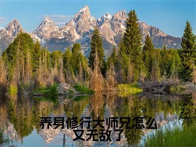 养身修行大师兄怎么又无敌了大结局全文免费阅读最新章节_苏阳大结局