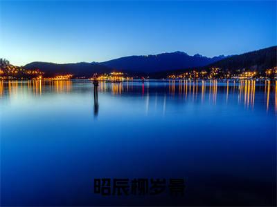 柳岁景昭辰（昭辰柳岁景）全文无弹窗大结局_柳岁景昭辰小说最新章节列表