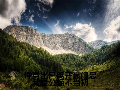 净身出户离开豪门总裁老公悔不当初小说免费阅读萧逸小说全文免费阅读_（净身出户离开豪门总裁老公悔不当初）萧逸最新章节列表笔趣阁