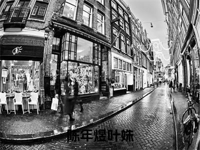 陈年煜叶姝（陈年煜叶姝）免费阅读无弹窗大结局-陈年煜叶姝（最新全章节大结局）全文阅读