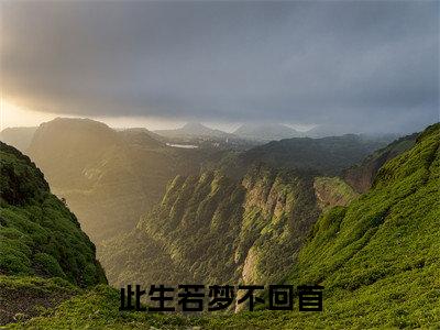 付景年沈向真（此生若梦不回首）全文免费阅读无弹窗_付景年沈向真此生若梦不回首最新章节免费阅读_笔趣阁