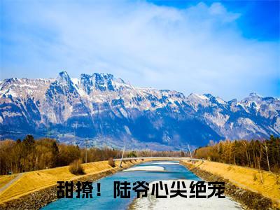 甜撩！陆爷心尖绝宠小说全文（秦倾）精选免费小说_甜撩！陆爷心尖绝宠小说全文最新章节列表