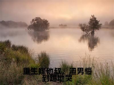 沈眠音顾淮之：重生嫁他叔，渣男悔到跪地哭阅读无弹窗大结局_（沈眠音顾淮之阅读无弹窗）最新章节列表_笔趣阁（沈眠音顾淮之）