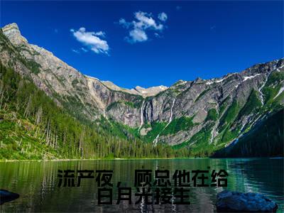 顾斯忱宁沐小说（流产夜，顾总他在给白月光接生）无弹窗大结局-流产夜，顾总他在给白月光接生（顾斯忱宁沐）完整版免费阅读