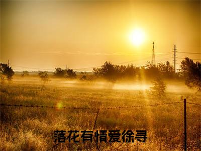 落花有情爱徐寻全文免费阅读-陈落沈寻小说（落花有情爱徐寻）免费阅读全文