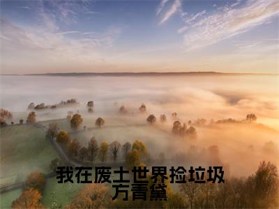 我在废土世界捡垃圾方青黛（方青黛）全文免费阅读无弹窗大结局_（方青黛）方青黛最新章节列表