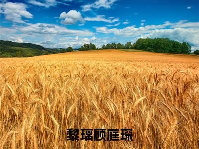 （黎璃顾庭琛）是什么小说-黎璃顾庭琛（黎璃顾庭琛）免费阅读大结局最新章节列表_笔趣阁