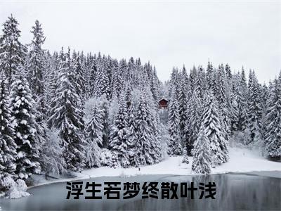 叶浅（浮生若梦终散叶浅）全文免费阅读无弹窗大结局_浮生若梦终散叶浅最新章节列表_笔趣阁（叶浅）