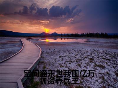 空间通末世我囤亿万物资养兵王（夏晴苏御）全文免费阅读无弹窗大结局_空间通末世我囤亿万物资养兵王最新章节列表-笔趣阁夏晴苏御