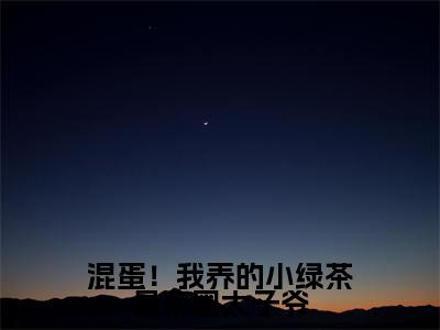混蛋！我养的小绿茶是京圈太子爷（陆战北沈南乔）全文免费阅读无弹窗_（陆战北沈南乔）小说全文免费阅读最新章节_笔趣阁