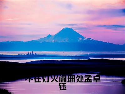 不在灯火阑珊处孟卓钰（顾宁辰孟卓钰）全文免费阅读无弹窗大结局_不在灯火阑珊处孟卓钰（不在灯火阑珊处孟卓钰）免费在线阅读最新章节列表笔趣阁