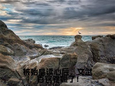 被始皇读心后，文武百官卷疯了！顾绫雪嬴政小说全文免费阅读无弹窗大结局_（顾绫雪嬴政）最新章节列表笔趣阁