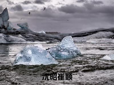 【新书】《沈昭崔颢》全文免费阅读最新章节大结局-沈昭崔颢全文全章节免费阅读