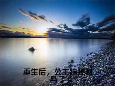 （免费）+（全文）重生后，公主踹掉驸马了（苏云溪萧宴川）免费阅读最新章节无弹窗苏云溪萧宴川完整版小说在线阅读