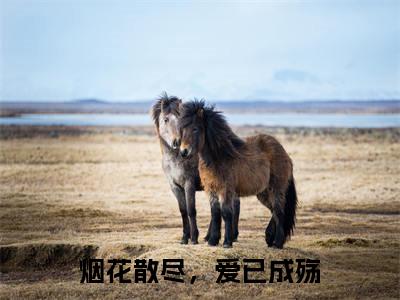 烟花散尽，爱已成殇（楚聿风）全文阅读_小说烟花散尽，爱已成殇免费阅读（楚聿风）笔趣阁