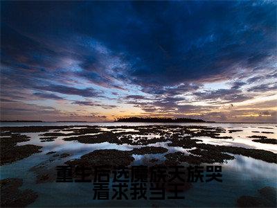 任意高赞小说（重生后选魔族天族哭着求我当王）完结阅读_重生后选魔族天族哭着求我当王免费看全文