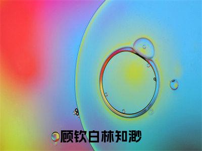 顾钦白林知渺全文免费阅读无弹窗，林知渺顾钦白小说最新章节列表无删减_笔趣阁