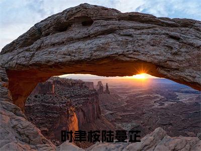 （热推新书）《时聿桉陆蔓芷》全文免费阅读无弹窗大结局_时聿桉陆蔓芷无弹窗全文阅读