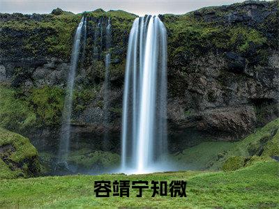 宁知微容靖小说全文免费阅读大结局-容靖宁知微最新章节列表免费阅读