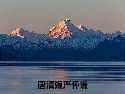 唐清婉严怀谦（唐清婉严怀谦）全文免费阅读无弹窗_唐清婉严怀谦最新小说_笔趣阁
