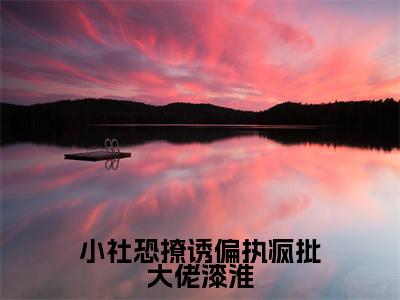 宋轻漆淮小社恐撩诱偏执疯批大佬漆淮完整全文在线阅读宋轻漆淮全文大结局阅读无弹窗